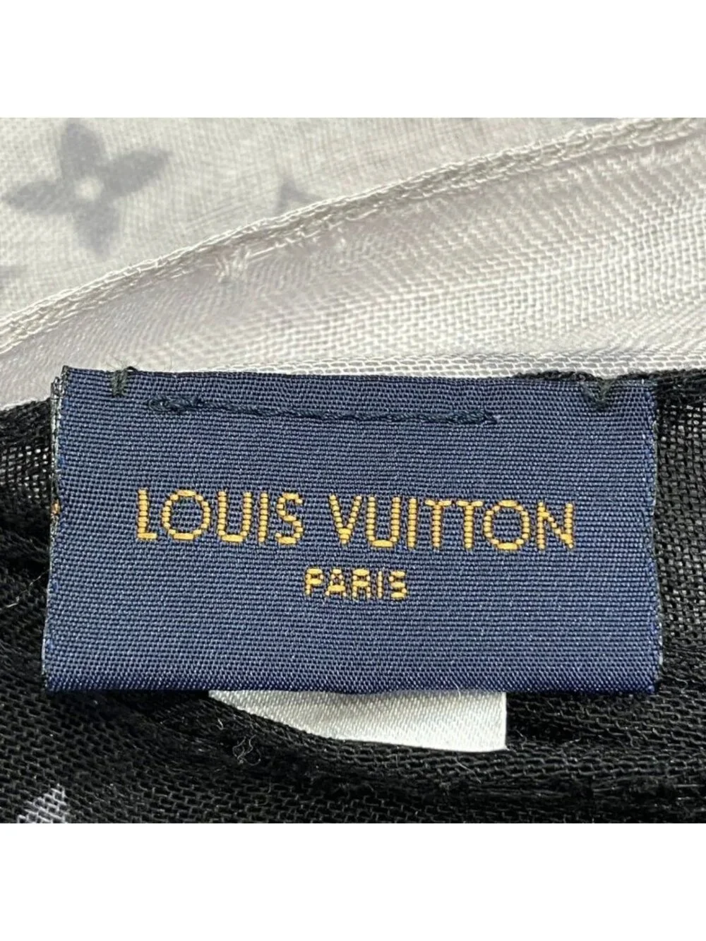 Louis Vuitton brand louis